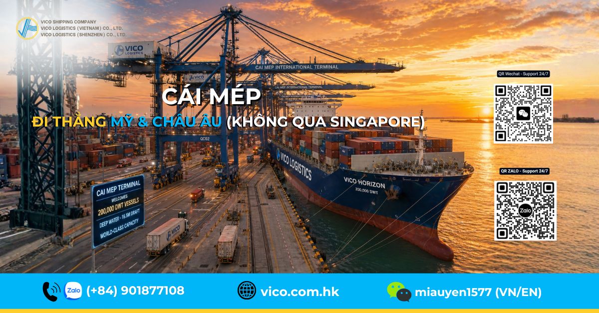 Cảng Cái Mép Thị Vải - Giải pháp vận chuyển đi Mỹ trực tiếp