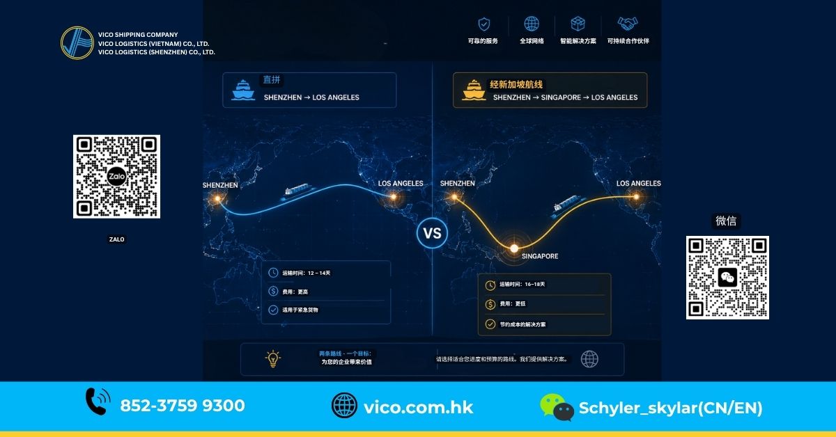 直航路线(Cai Mep)与中转航线(Cat Lai)之间的运输时间差异可能长达一周