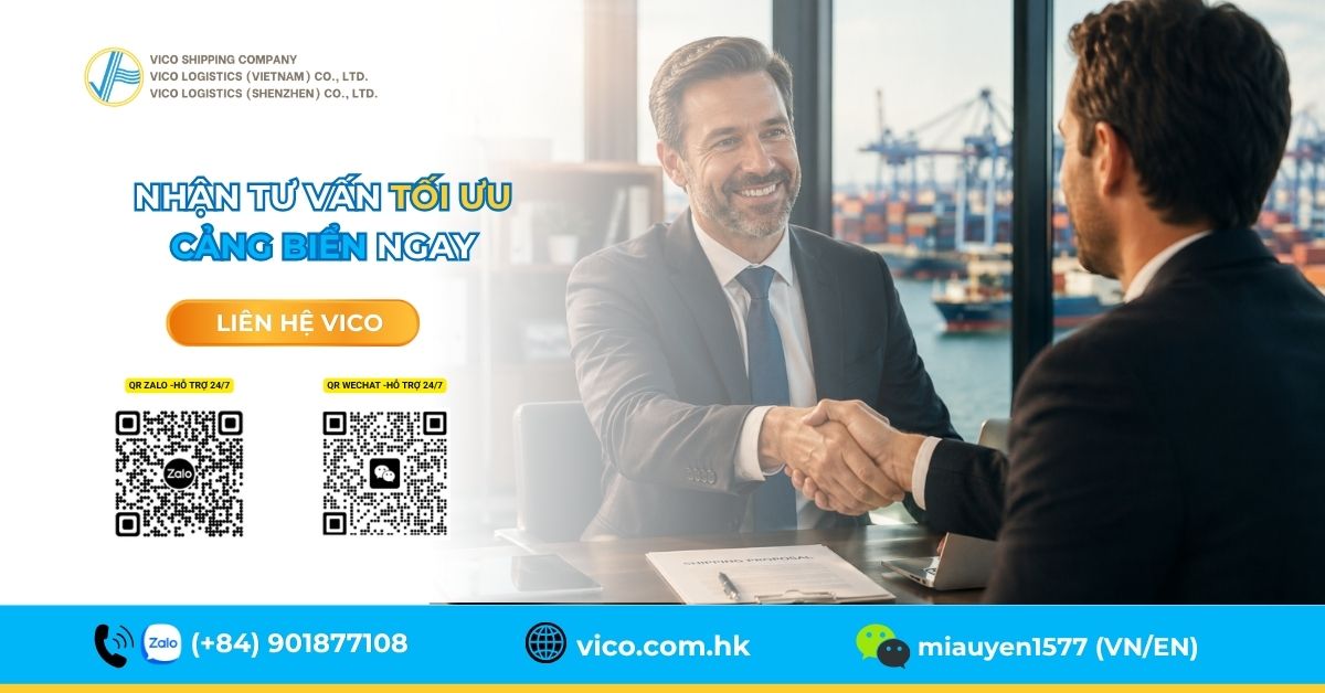 Chuyên gia VICO Logistics tư vấn chiến lược cảng biển