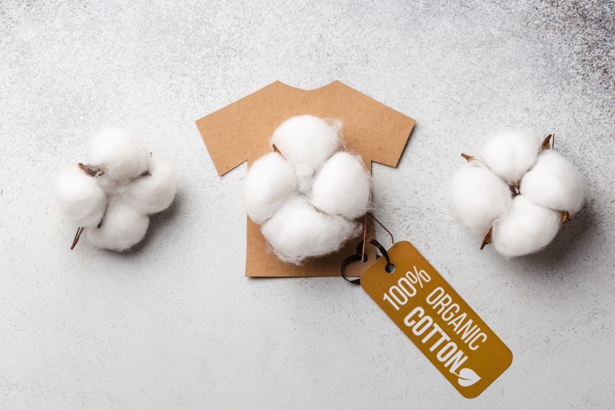 Organic cotton, a product of green textiles 