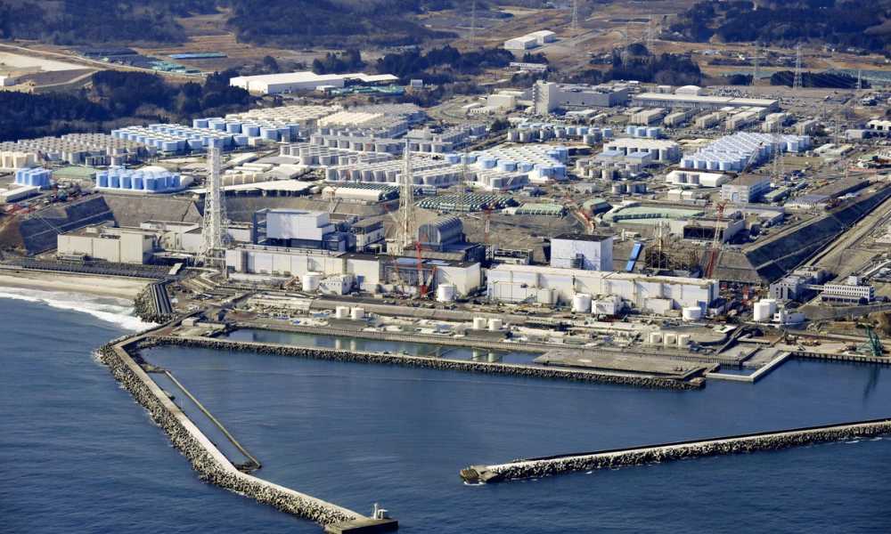 The importance of Measuring Radiation Levels in Japanese seafood 