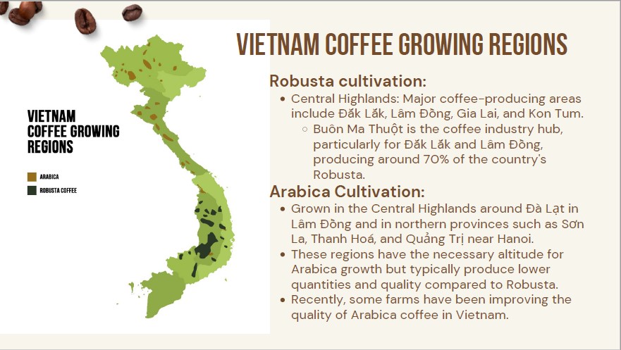 Vietnam Coffee Export 