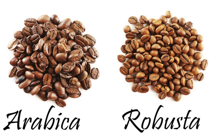 2 types of Vietnam Coffee exports to China are Arabica and Robusta 