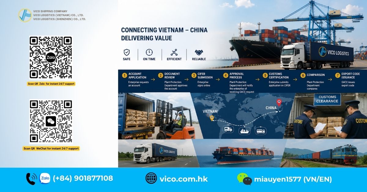 Coffee shipping from Vietnam to China logistics process