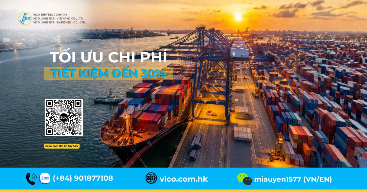 Hệ thống cảng nước sâu hiện đại tại Việt Nam như Cát Lái và Cái Mép