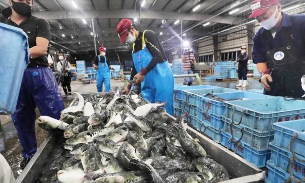 ​Nhật bản thải nước phóng xạ ra biển và làn sóng cấm nhập khẩu hải sản