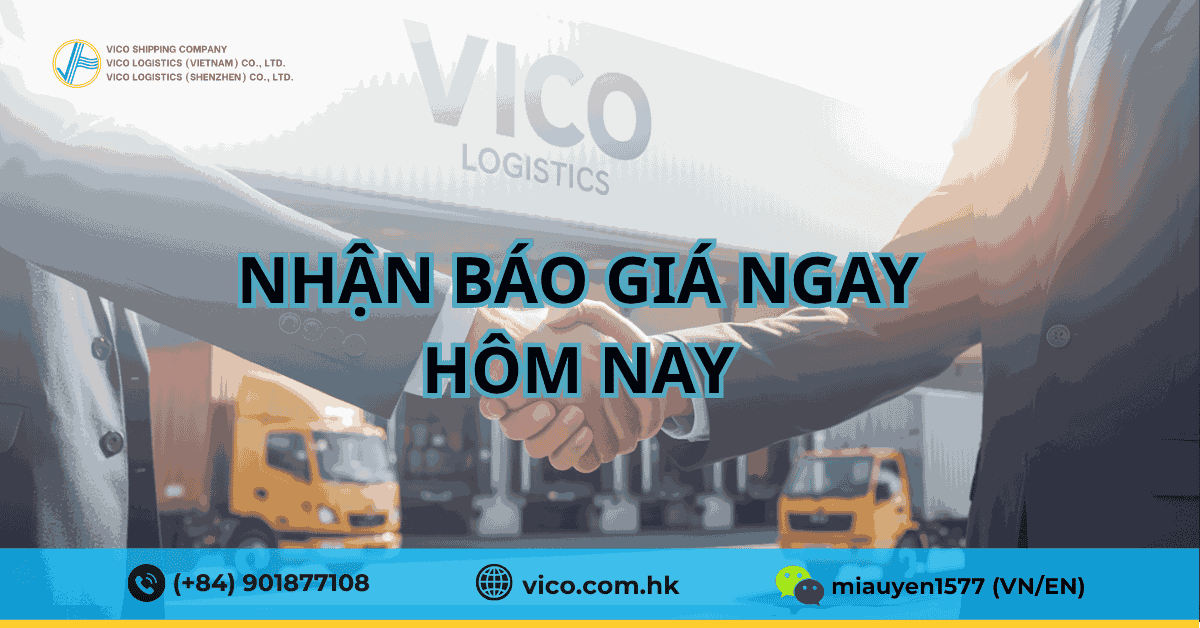 VICO Logistics – Đối tác forwarder chuyên nghiệp