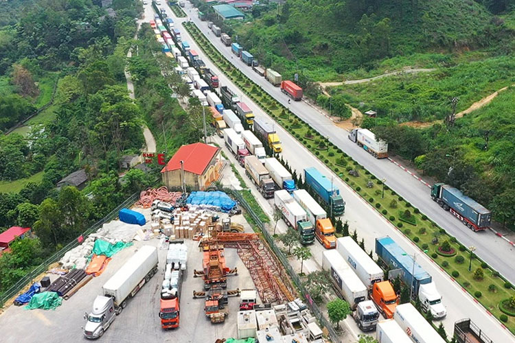 农 产 品 出 口中 国 市 场